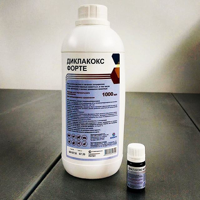 ДИКЛАКОКС ФОРТЕ