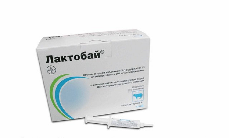 ЛАКТОБАЙ