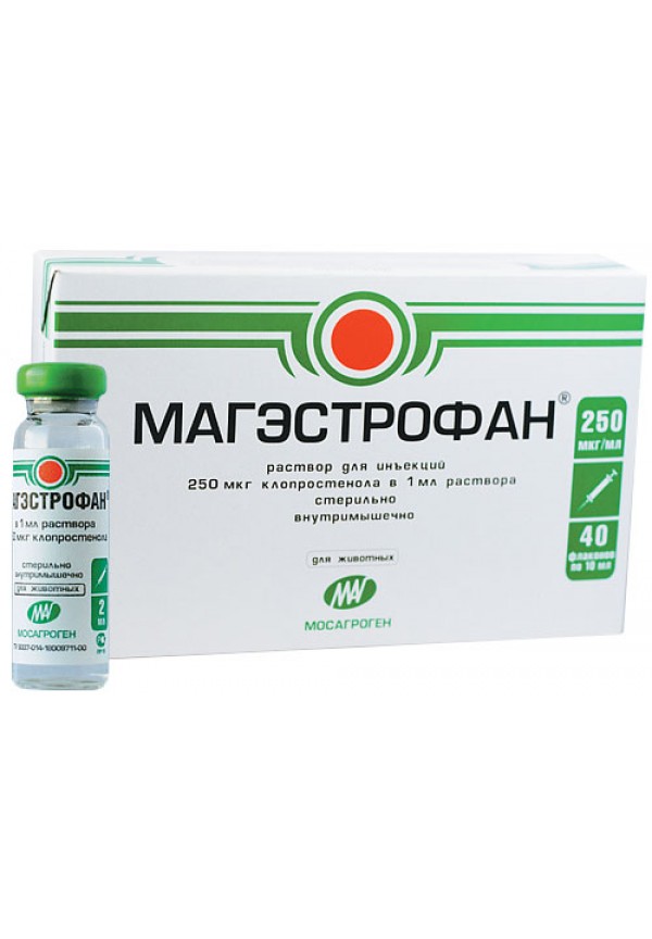МАГЭСТРОФАН