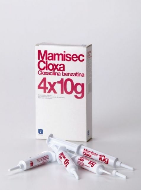 МАМИСЕК КЛОКСА