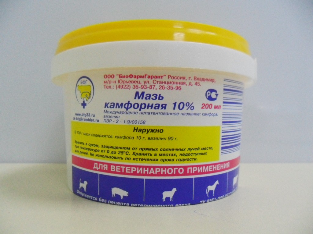 МАЗЬ КАМФОРНАЯ 10% — Ветеринарные медикаменты