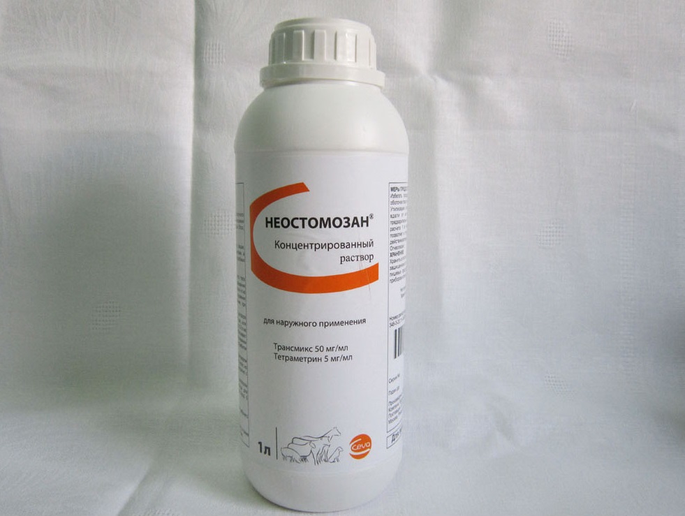 НЕОСТАМАЗАН