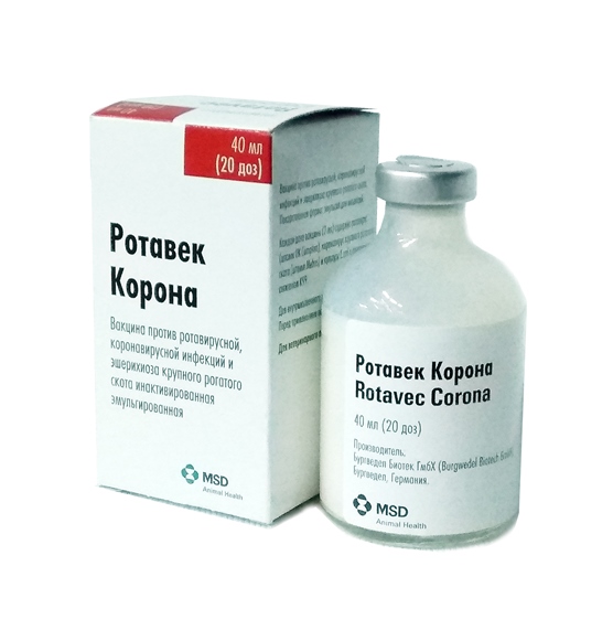 РОТОВЕК КОРОНА