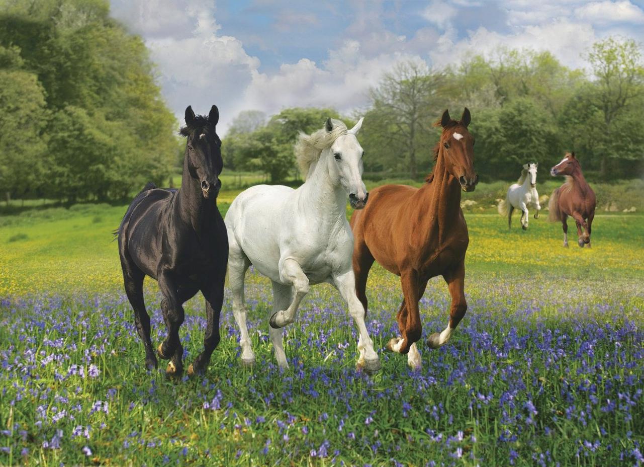 Ветеринарные медикаменты