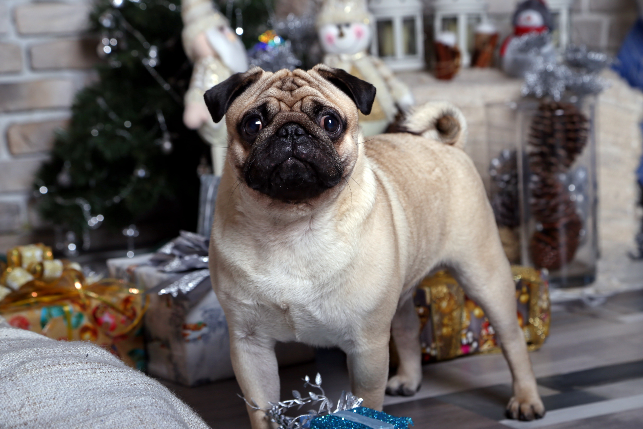 Ветеринарные медикаменты